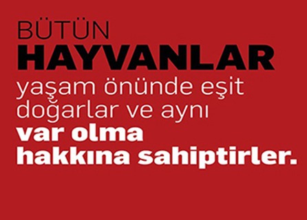 Veterica Veteriner Kliniği