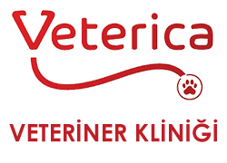 Veterica Veteriner Kliniği